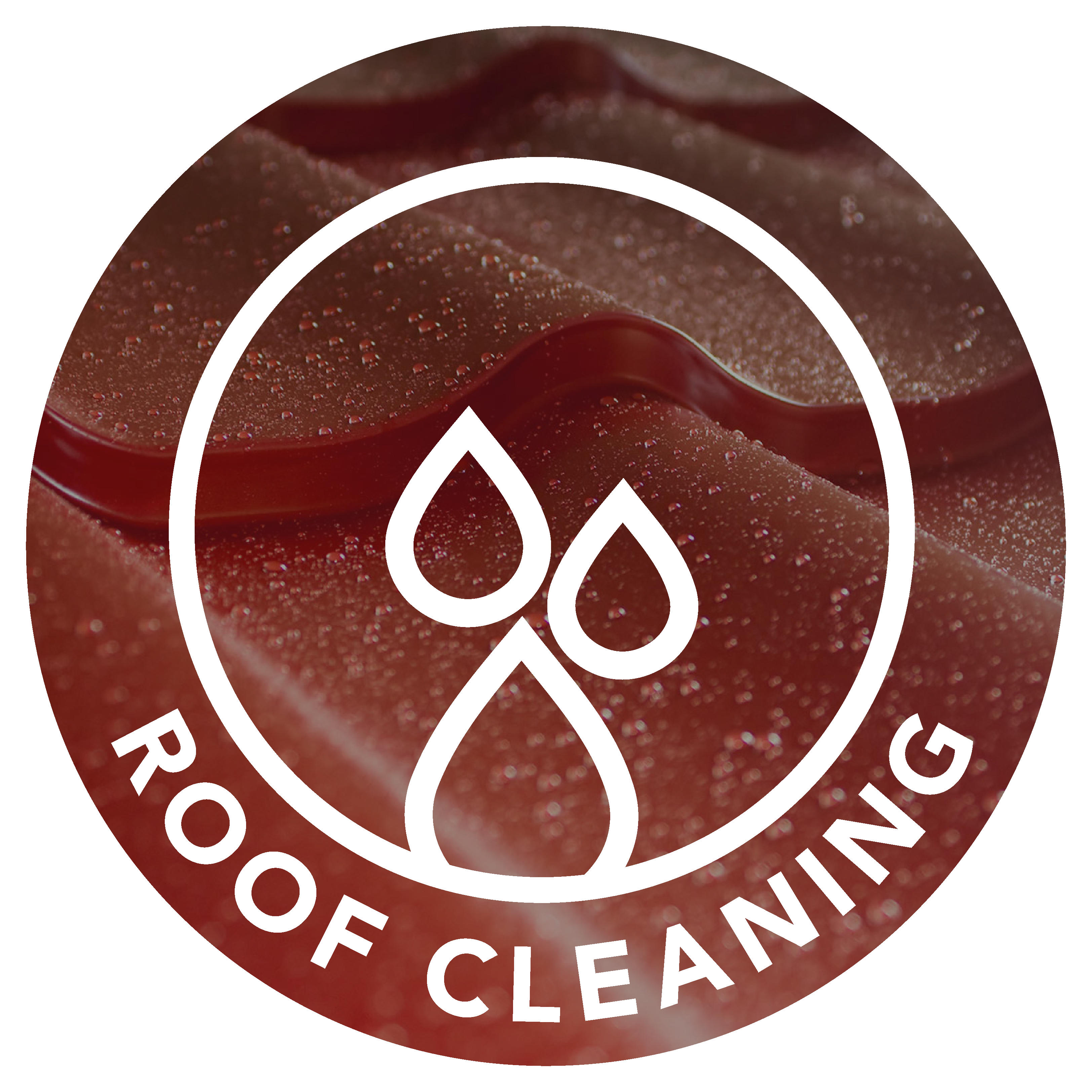 Roof Cleaning